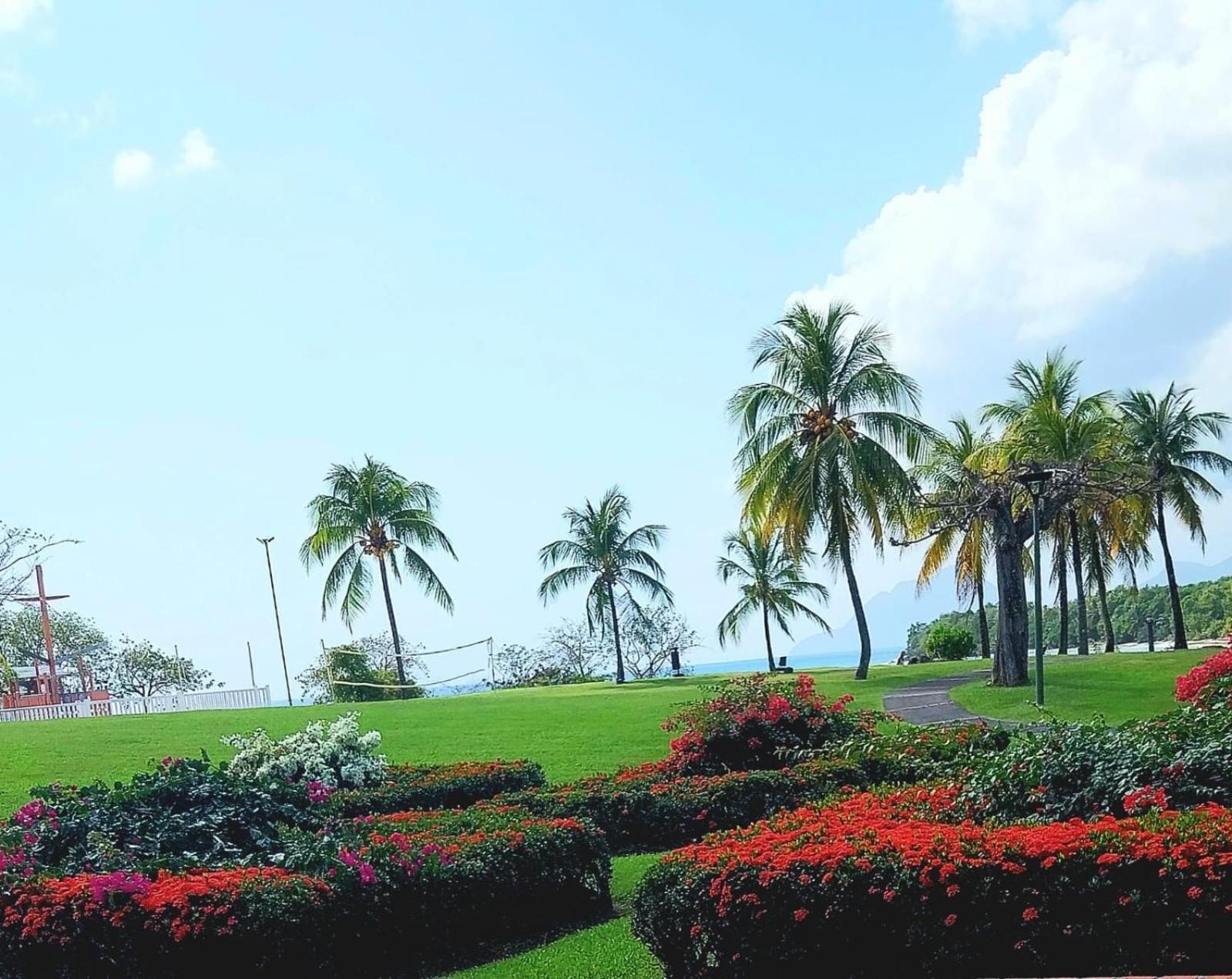 Residence Au Coeur Des Iles Martinique 23 サント・リュス エクステリア 写真