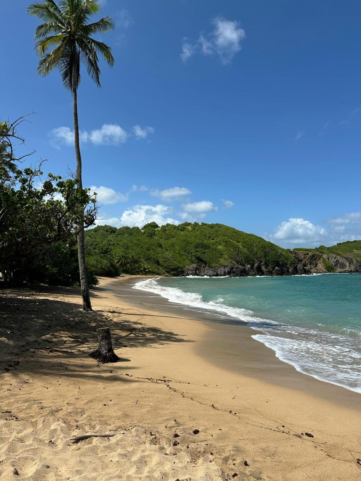 Residence Au Coeur Des Iles Martinique 23 サント・リュス エクステリア 写真